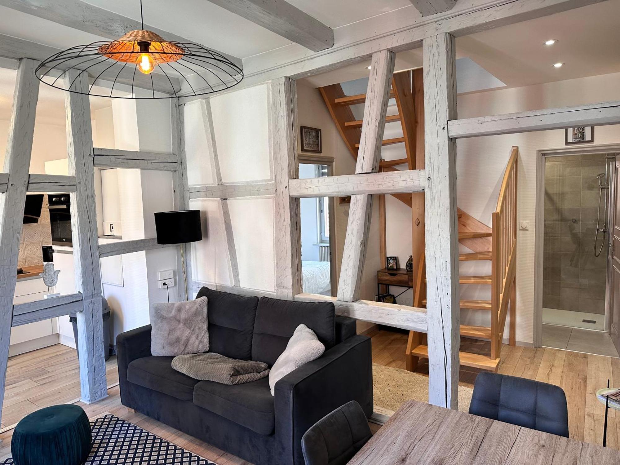 Villa Le Wickram à Colmar Extérieur photo
