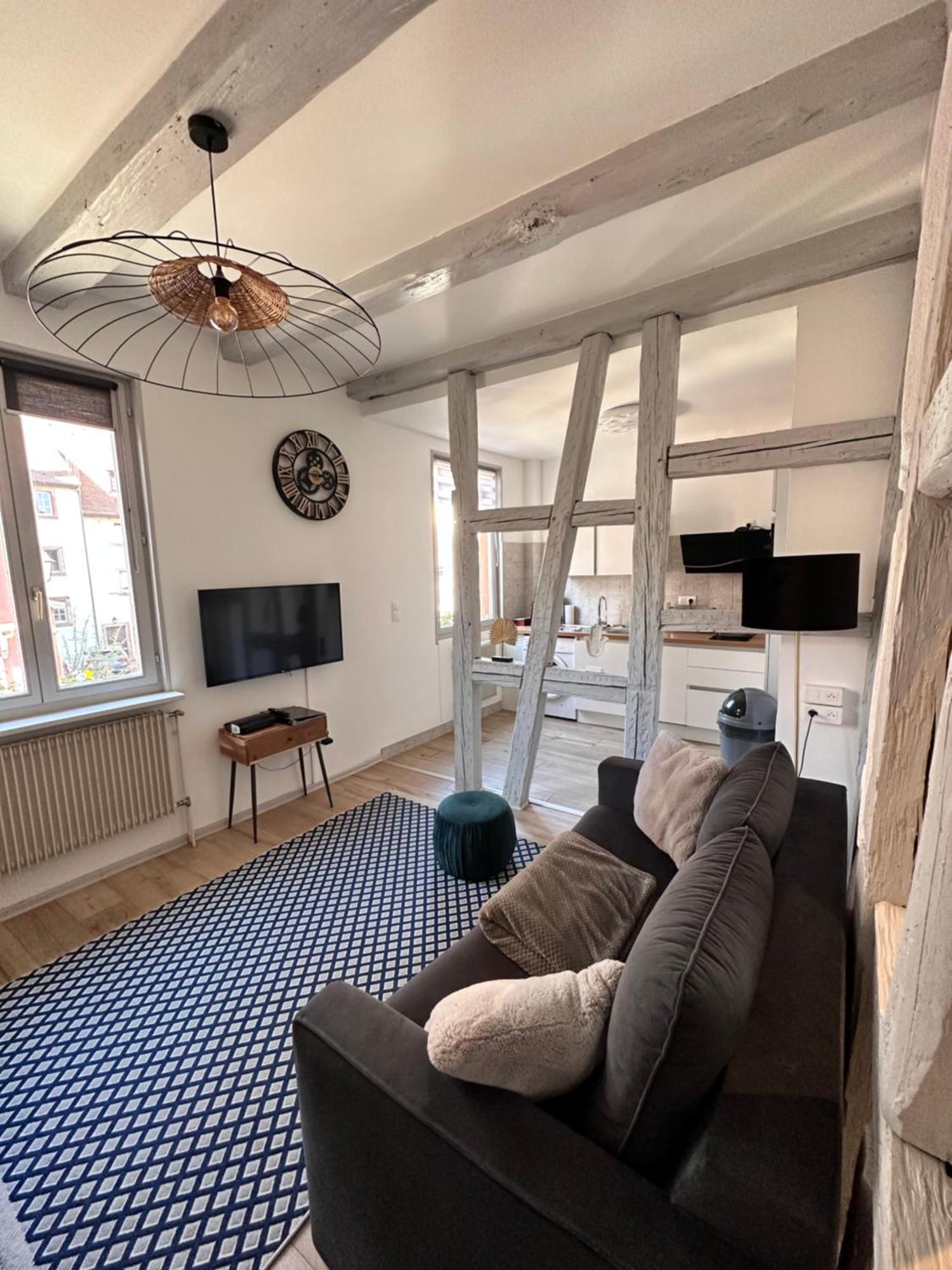 Villa Le Wickram à Colmar Extérieur photo
